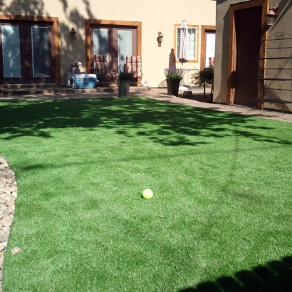 Best Artificial Grass Dayton, Virginia Watch Dogs, Backyard Landscaping Ideas