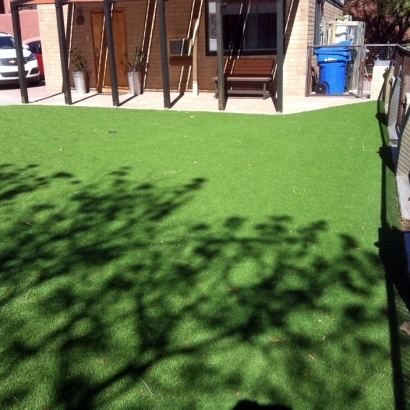 Artificial Turf Cost University Center, Virginia Lawn And Garden, Backyards