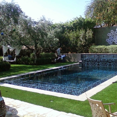 Artificial Turf Horntown, Virginia Landscaping Business, Natural Swimming Pools