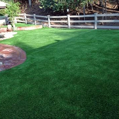 Artificial Turf Installation Chester, Virginia Artificial Turf For Dogs, Backyard Landscape Ideas