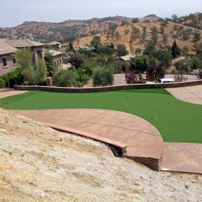 Artificial Turf Cost Belmont, Virginia Backyard Sports, Commercial Landscape