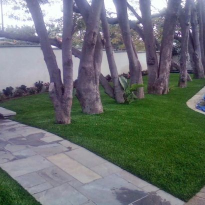 Artificial Turf Installation La Crosse, Virginia City Landscape, Front Yard