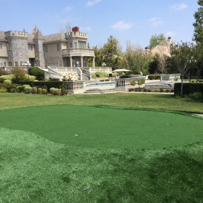 Artificial Turf Linton Hall, Virginia Putting Green Turf, Front Yard Landscaping Ideas