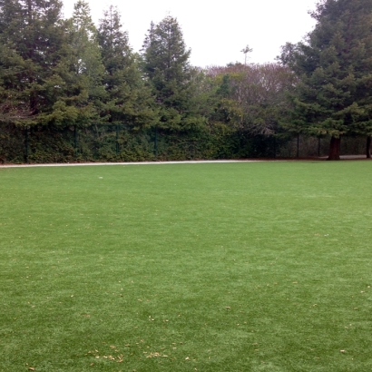 Synthetic Grass Cost New Hope, Virginia Backyard Playground, Landscaping Ideas For Front Yard