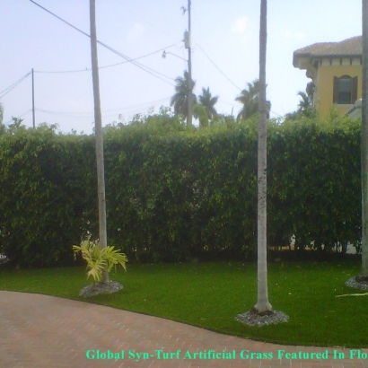 Artificial Turf Portsmouth, Virginia Backyard Playground, Front Yard Design