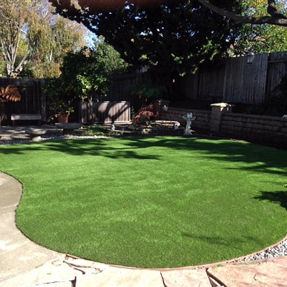 Best Artificial Grass Chesterfield Court House, Virginia Paver Patio, Backyard Landscaping