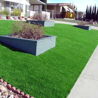Best Artificial Grass Emporia, Virginia Landscaping Business, Front Yard Landscape Ideas
