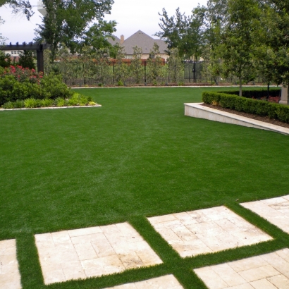 Best Artificial Grass Lincolnia, Virginia Landscape Photos, Backyard Design