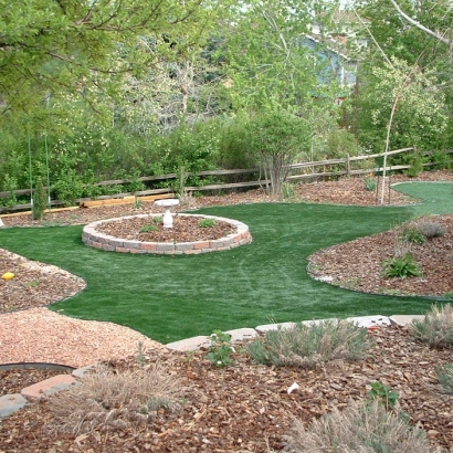 Best Artificial Grass Marion, Virginia Gardeners, Backyard Landscape Ideas