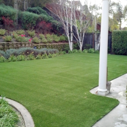 Best Artificial Grass Springville, Virginia Design Ideas, Backyard Landscaping