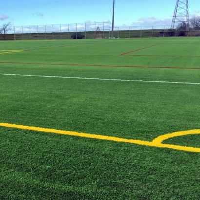 Fake Grass Hayfield, Virginia Red Turf