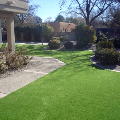 Green Lawn Staunton, Virginia Cat Grass, Small Backyard Ideas