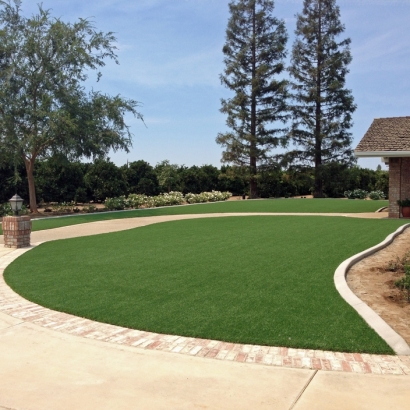 Artificial Grass Installation Greenville, Virginia Gardeners, Backyard Garden Ideas