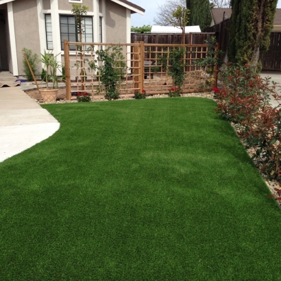 Fake Lawn Narrows, Virginia Landscape Ideas, Front Yard Design