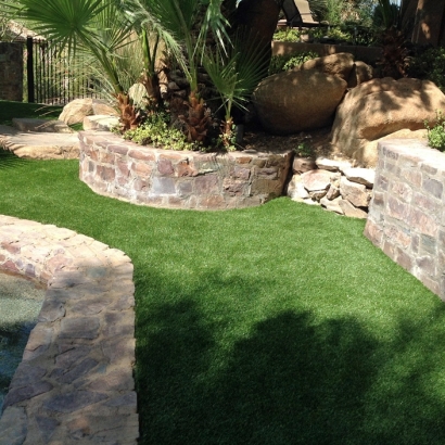 Artificial Turf Cost Mappsville, Virginia Dog Running, Front Yard Landscape Ideas