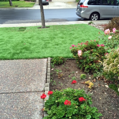 Fake Turf East Highland Park, Virginia Hotel For Dogs, Small Front Yard Landscaping