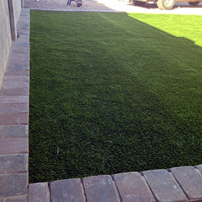 Fake Turf Lexington, Virginia Pictures Of Dogs, Landscaping Ideas For Front Yard