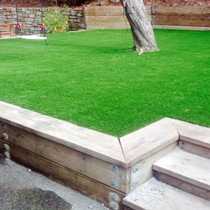 Faux Grass Arrington, Virginia Landscape Ideas, Backyard Design