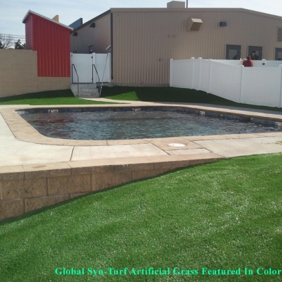 Grass Carpet Harrisonburg, Virginia Backyard Deck Ideas, Swimming Pools