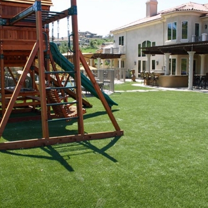 Grass Turf Farmville, Virginia Lawn And Landscape, Backyard Design