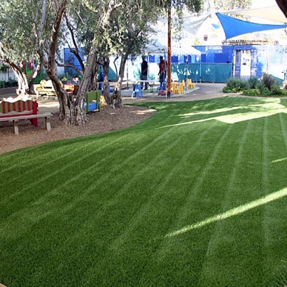 Faux Grass Ridgeway, Virginia Playground Safety, Backyard Landscape Ideas