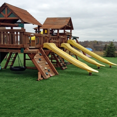 Green Lawn Danville, Virginia Indoor Playground, Commercial Landscape