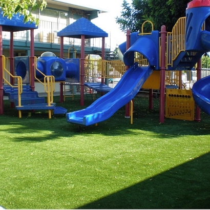 Artificial Grass Jarratt, Virginia Rooftop, Backyard Landscaping