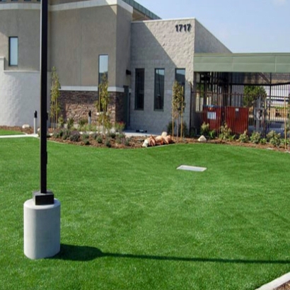 Installing Artificial Grass Scottsville, Virginia Garden Ideas, Commercial Landscape
