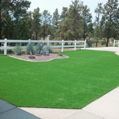 Lawn Services Chester, Virginia Design Ideas, Front Yard Landscape Ideas
