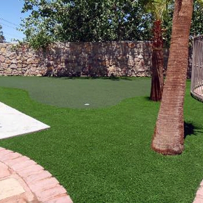 Outdoor Carpet Bon Air, Virginia Garden Ideas, Backyards