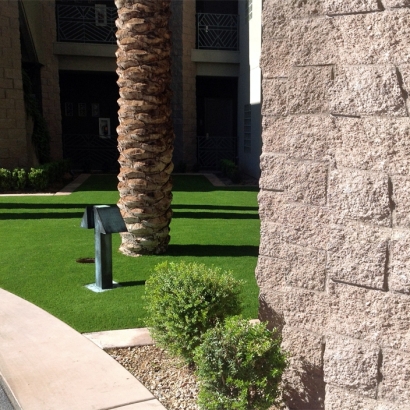 Grass Turf Belle Haven, Virginia Lawn And Garden, Front Yard Ideas