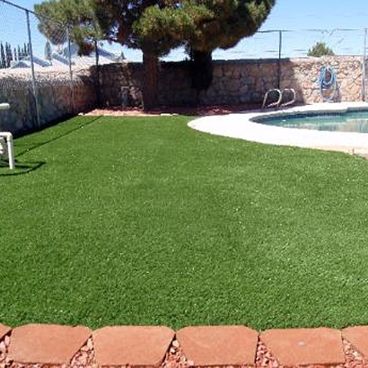 Outdoor Carpet Laurel, Virginia Fake Grass For Dogs, Pool Designs