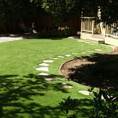 Plastic Grass Apple Mountain Lake, Virginia Backyard Playground, Backyard