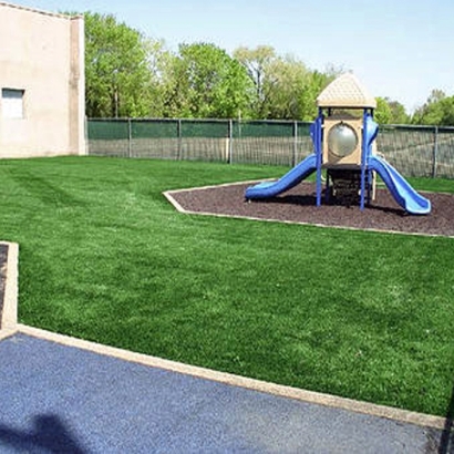 Synthetic Turf Middleburg, Virginia Roof Top, Commercial Landscape
