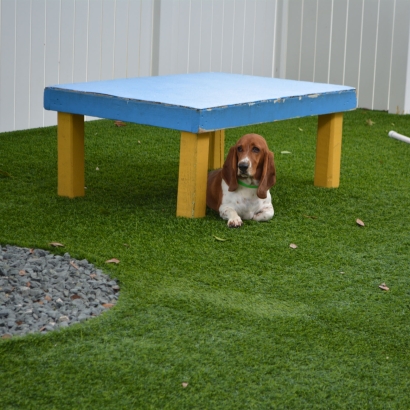 Plastic Grass Louisa, Virginia Dog Park, Dogs Park