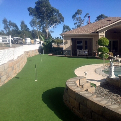 Plastic Grass Roanoke, Virginia Best Indoor Putting Green, Small Backyard Ideas