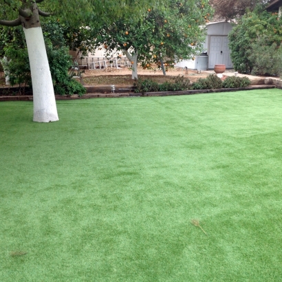 Grass Turf Sherando, Virginia Home And Garden, Recreational Areas