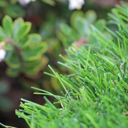 Riviera Monterey 50 oz artificial grass, natural landscape background