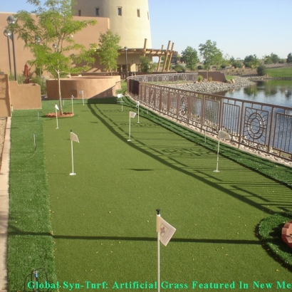 Synthetic Grass Arlington, Virginia Gardeners, Beautiful Backyards