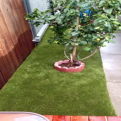 Synthetic Grass Cost Bealeton, Virginia Lawn And Garden, Backyard Ideas