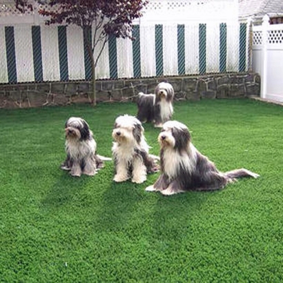 Synthetic Grass Cost Draper, Virginia Lawn And Landscape, Backyard Design