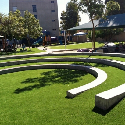 Synthetic Grass Montclair, Virginia Paver Patio, Commercial Landscape