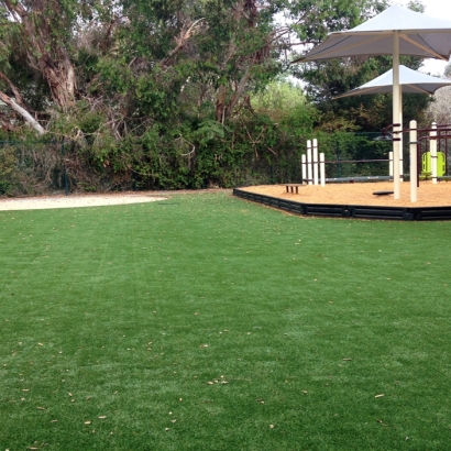 Synthetic Grass Occoquan, Virginia Athletic Playground