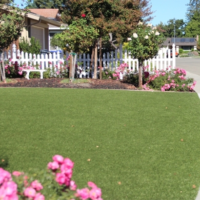 Turf Grass Floyd, Virginia Lawns, Front Yard Landscape Ideas