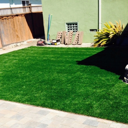 Synthetic Lawn Blairs, Virginia Lawn And Landscape, Backyard Designs