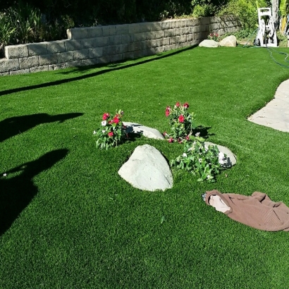 Synthetic Lawn Charlotte Court House, Virginia Landscape Ideas, Front Yard