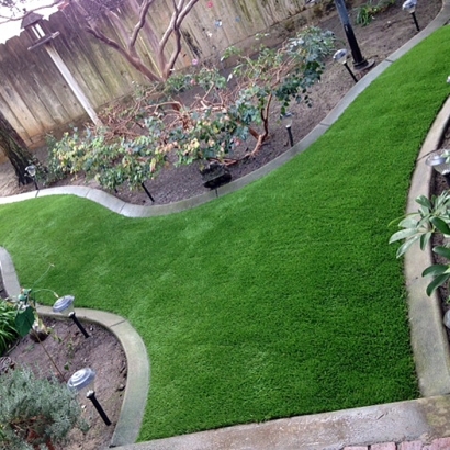 Synthetic Lawn Loch Lomond, Virginia Roof Top, Backyard Landscaping