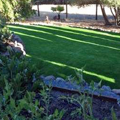 Synthetic Turf Benns Church, Virginia Garden Ideas, Backyards