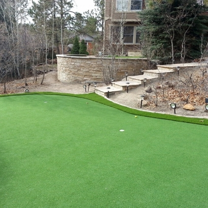 Synthetic Turf Buena Vista, Virginia Rooftop, Backyard Design