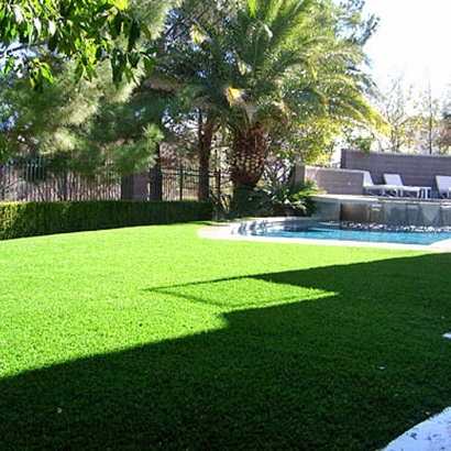 Synthetic Turf Massanutten, Virginia Gardeners, Backyard Garden Ideas